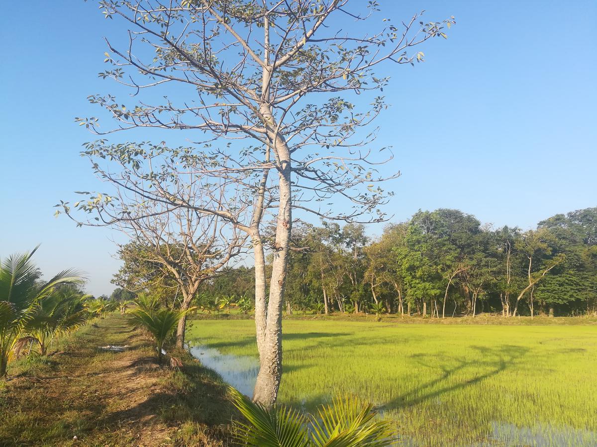 Bn Resort Ban Nong Chum Saeng Kültér fotó